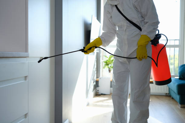 Trusted Starke, FL Mold Removal Experts